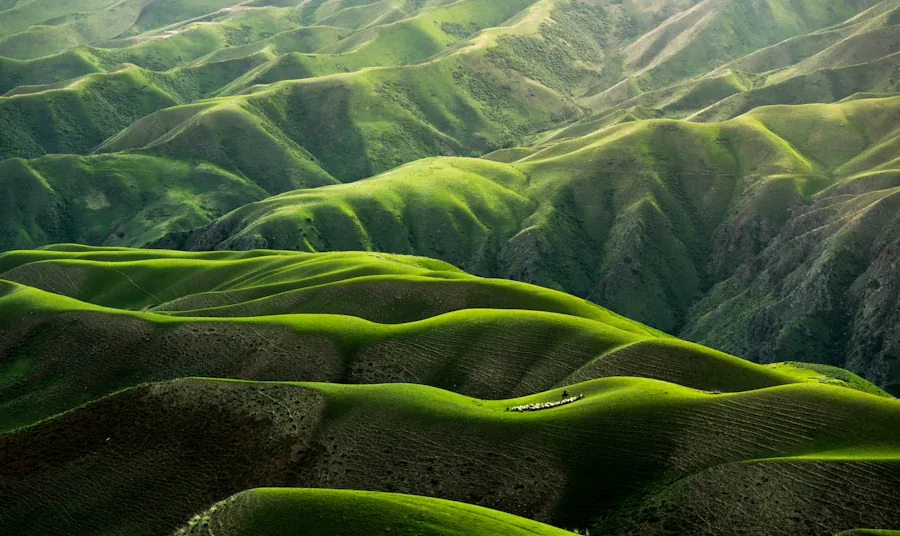 Paysage serein pour la réflexion