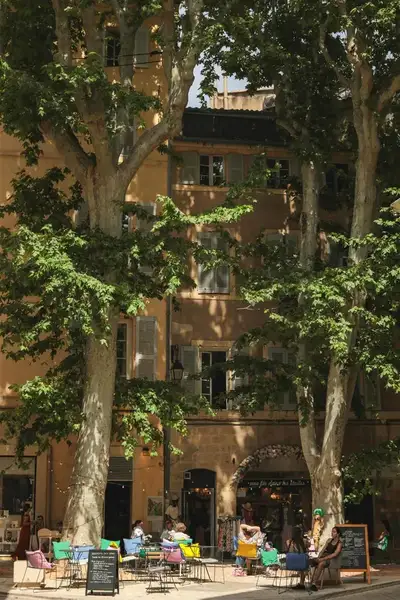 Livraison de fleurs de deuil à Salon-de-Provence