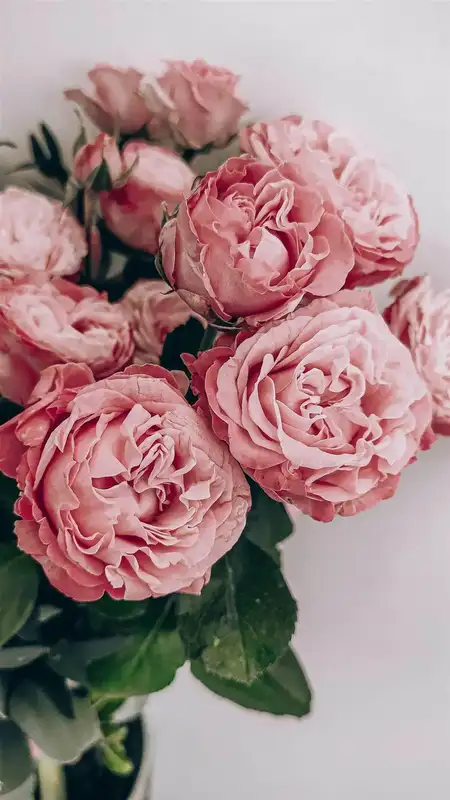 Livraison de fleurs de deuil à Marignane