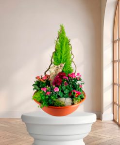 Plante de deuil 