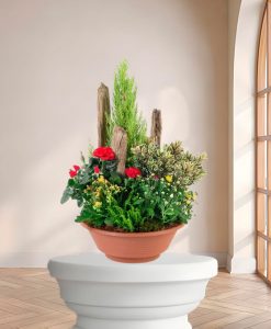Plante de deuil "Mini Jardin" – Fleurs de deuil Marseille