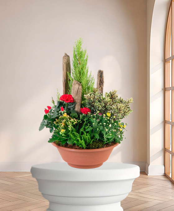 Plante de deuil "Mini Jardin" – Fleurs de deuil Marseille