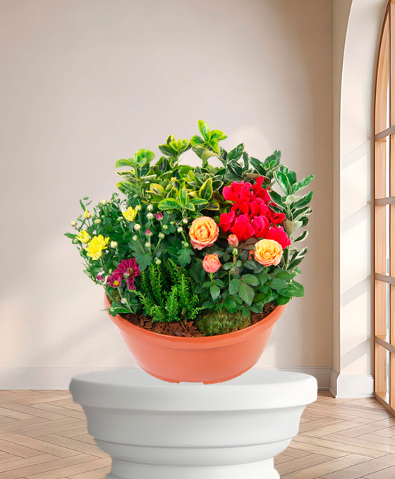 Plante de deuil "Plantes Du Souvenir" – Fleurs de deuil Marseille