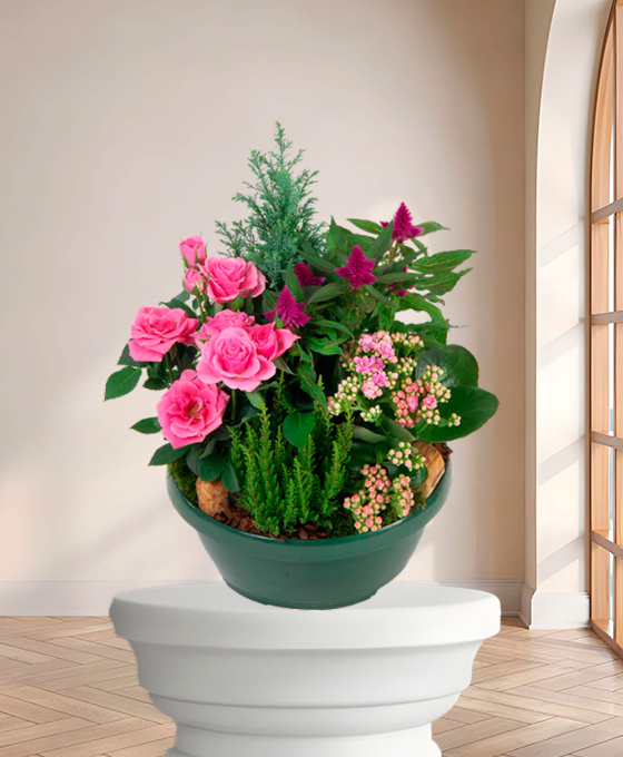 Plante de deuil "Rose Au Jardin" – Fleurs de deuil Marseille