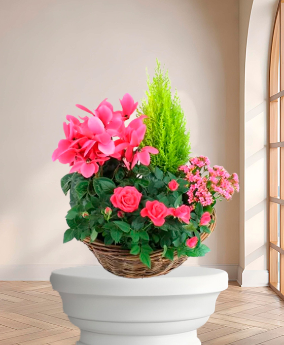 Plante de deuil "Symphonie" – Fleurs de deuil Marseille